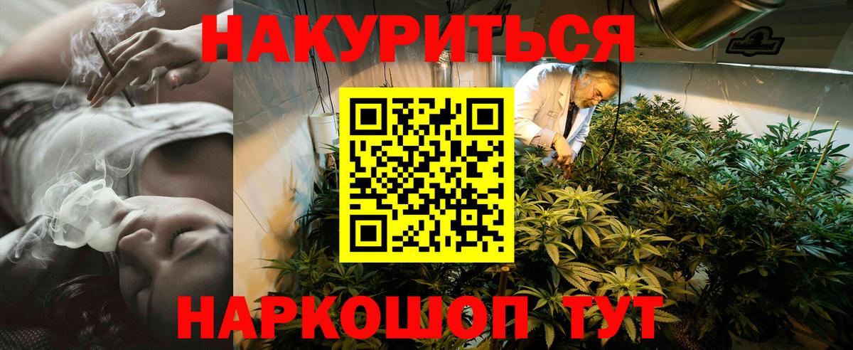 МАРИХУАНА ГИДРОПОН  Каннабис Bruce Banner  Вход с VPN  Феодосия 